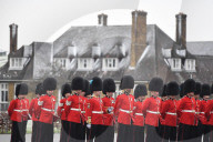 NEWS - Patrick's Day Parade in London