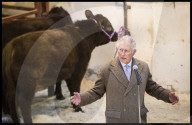 PEOPLE - Die Royals: Bilder des Tages