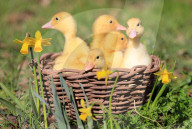 FEATURE - Pix of the Day: Bilder des Tages