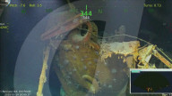 FEATURE - Das Schiffswrak der USS Juneau aus dem 2.Weltkrieg im Pazifik entdeckt