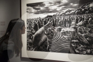 FEATURE - Pix of the Day: Bilder des Tages