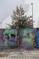 NEWS - Strassenkunst 'Wandelismus' in Berlin 