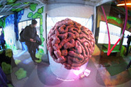 NEWS - Strassenkunst 'Wandelismus' in Berlin 
