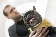 FEATURE - Therapy Hunde