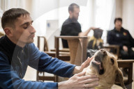 FEATURE - Therapy Hunde