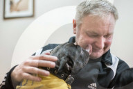 FEATURE - Therapy Hunde
