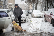 FEATURE - Therapy Hunde