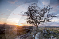 FEATURE - Pix of the Day: Bilder des Wochenendes