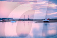 FEATURE - Pix of the Day: Bilder des Wochenendes