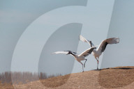 FEATURE - Pix of the Day: Bilder des Wochenendes