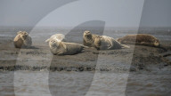 FEATURE - Pix of the Day: Bilder des Wochenendes