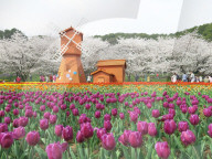 FEATURE - Pix of the Day: Bilder des Wochenendes