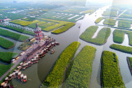 FEATURE - Pix of the Day: Bilder des Wochenendes