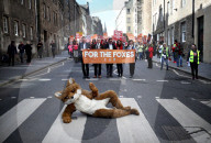 FEATURE - Pix of the Day: Bilder des Wochenendes