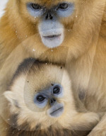 FEATURE - Pix of the Day: Bilder des Wochenendes