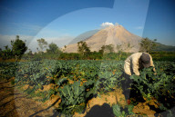 FEATURE - Leben mit dem Vulkan - Sinabung in Indonesien