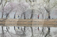 FEATURE - Best of: Bilder des Tages