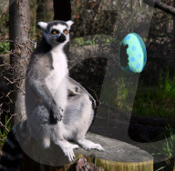 FEATURE - Ostereier für die Tiere im Londoner Zoo