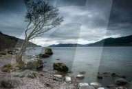 FEATURE - Pix of the Day: Die Bilder des Tages