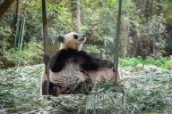 FEATURE - Pix of the Day: Die Bilder des Tages