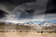 FEATURE - Nevada im Winter