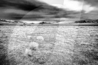 FEATURE - Nevada im Winter