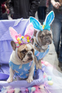 FEATURE - Pix of the Weekend: Bilder des Wochenende