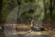 FEATURE - Pix of the Weekend: Bilder des Wochenende