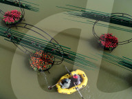 FEATURE - Pix of the Day: Bilder des Tages