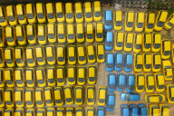 FEATURE - Pix of the Day: Bilder des Tages