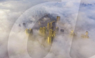FEATURE - Pix of the Day: Bilder des Tages