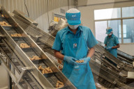 REPORTAGE - Gastarbeiter in Thailand