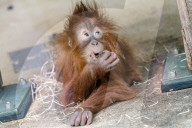 FEATURE - Bunt und herzig: Tiere im Zoo von Neunkirchen