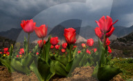 FEATURE - Best of - Bilder des Tages