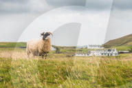 FEATURE - Pix of the Day: Bilder des Tages