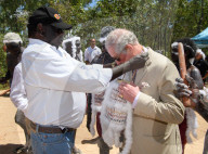 PEOPLE - Prince Charles von Aborigines  mit einer weissen Federhaube willkommen geheissen