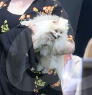 EXKLUSIV - Kelly Osbourne strahlt frisch verliebt an der Seite ihres neuen Boyfriends