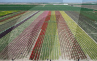 FEATURE - Pix of the Weekend: Die Bilder des Wochenendes