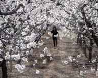 FEATURE - Pix of the Weekend: Die Bilder des Wochenendes