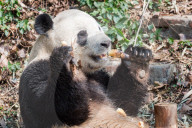 FEATURE - Pix of the Weekend: Die Bilder des Wochenendes