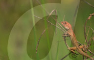 FEATURE - Best of - Bilder des Tages