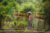 FEATURE - Best of: Bilder des Tages