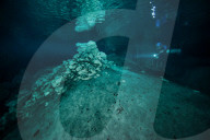 FEATURE - Unterwasser Höhlenforschung in Yucatan, Mexiko