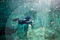 FEATURE - Unterwasser Höhlenforschung in Yucatan, Mexiko