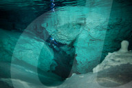 FEATURE - Unterwasser Höhlenforschung in Yucatan, Mexiko