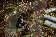 FEATURE - Unterwasser Höhlenforschung in Yucatan, Mexiko