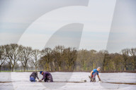 REPORTAGE - Spargelernte in Holland