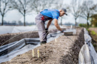 REPORTAGE - Spargelernte in Holland