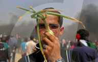 FEATURE - Pix of the Day: Bilder des Tages
