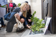 FEATURE - Pix of the Day: Bilder des Tages